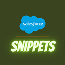 salesforce_snippets